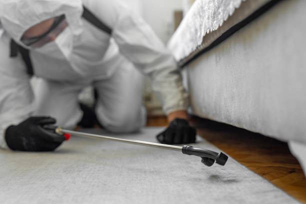 Professional Ant Control technician working in East Marion, NY